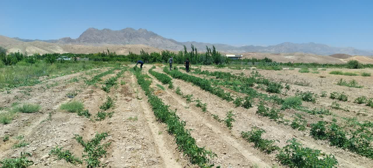 رفع تصرف از ۷۲۰۰ مترمربع بستر و حریم رودخانه چشمه‌علی دامغان با دستور قضایی